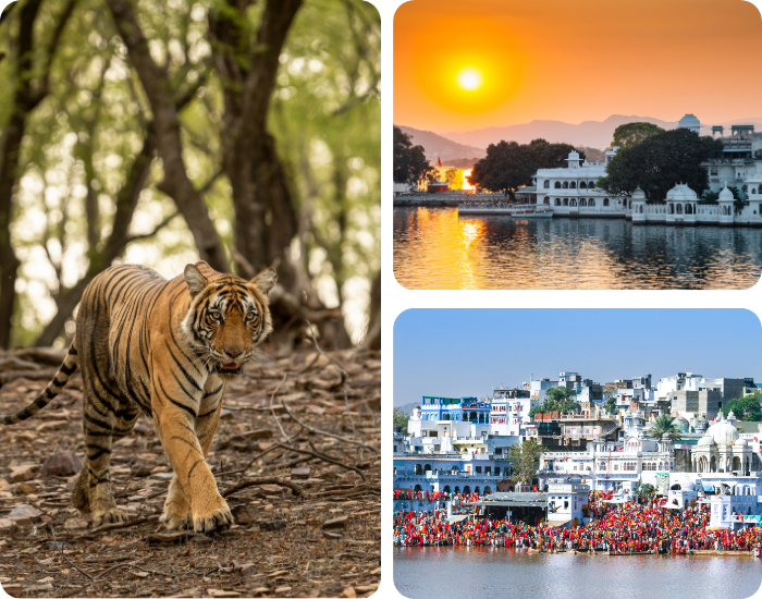 Golden Triangle Tour Packages